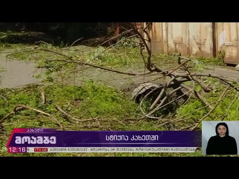 გურჯაანის მუნიციპალიტეტის სოფლებში სტიქიის შედეგად მიყენებულ ზარალს დილიდან ითვლიან